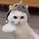 immabean24