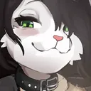 pawkt
