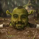 loopyto