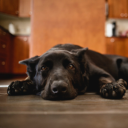 pootymcbooty#0757's avatar