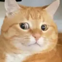 ravee
