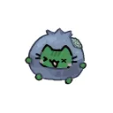 paylache