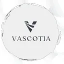 lavizh avatar