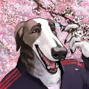 rodion_snootish avatar