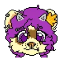 ferrinferret