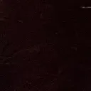 wy_backup