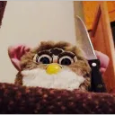 meow4338