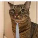 imuhhcaptain