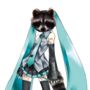 avatar raccoon pirate