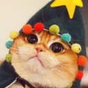 oswychow