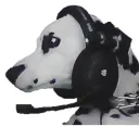 schmidtwerd