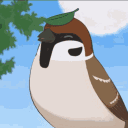 avatar sparrow