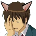 kyonlion