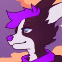 echo_vx2