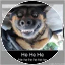 lordjerle