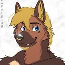 broltheshep
