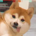 juroyasu