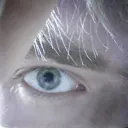 .silvertm