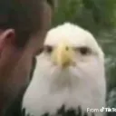 FredxForce's Avatar