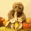 catbananamooncheese