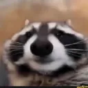 whygachagames69