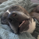 k91333#6012's avatar