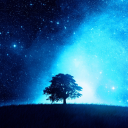 jd209dd#9357's avatar