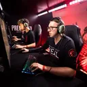 therealparadox