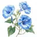 illirica