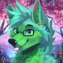 kovuthehusky