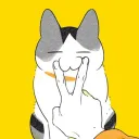 catt0gat0
