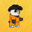 zexzi