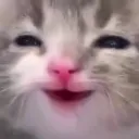 rhe