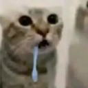 avatar мяумяу