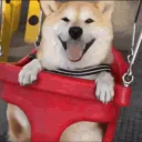 dondemi