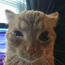 avatar Nekro