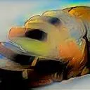 hamstercheese7