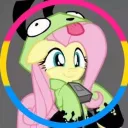 shade_lotas