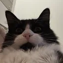 benjamin051000