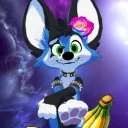 finnythefenn