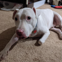 phorealjt#5715's avatar