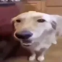 krodde