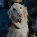 snowfxre