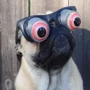 Jujubear's Avatar