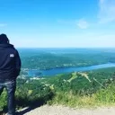 donovart