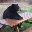 .diables#9286's avatar