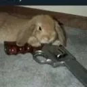 .meh_
