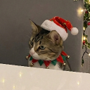 avatar TiagöOliveira