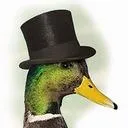 mrducky7209