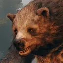 storybearkuma